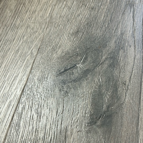 Meet your Posher, Kori - Picture 1 of 1